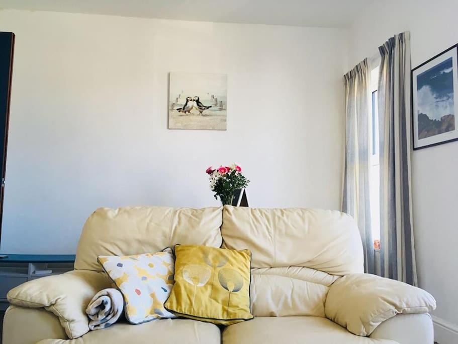 Hillcrest Cottage, Comfy Flat, Trendy Uplands Area Swansea Eksteriør billede