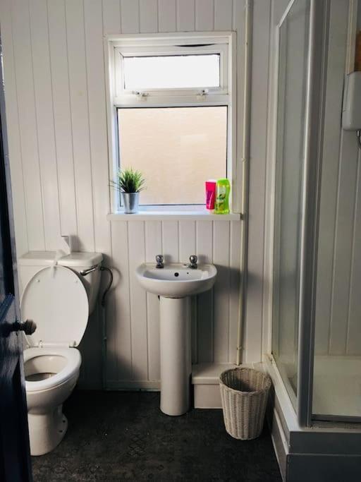 Hillcrest Cottage, Comfy Flat, Trendy Uplands Area Swansea Eksteriør billede